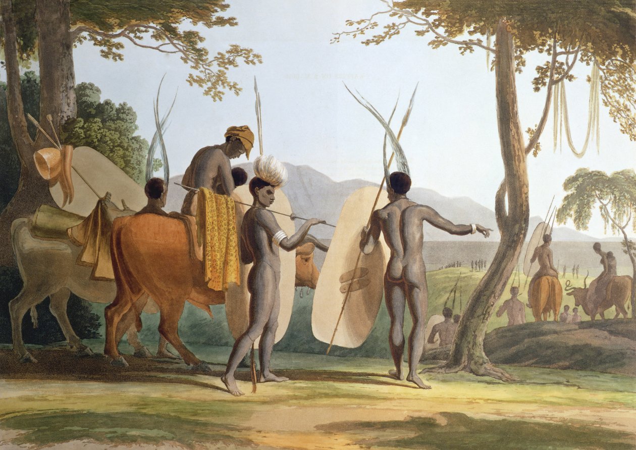 Bir Mart'ta, sanatçı tarafından oyulmuş 'African Scenery and Animals'dan 5. levha, 1804 (aquatint) by Samuel Daniell