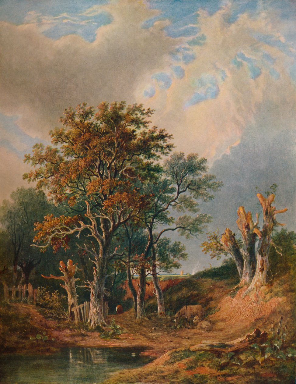 Manzara, 1847 by Samuel David Colkett