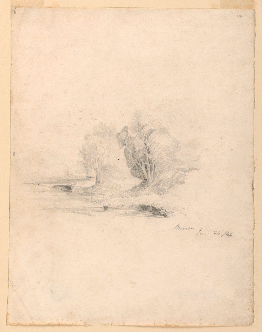 Dere ve Ağaçlar by Samuel Finley Breese Morse