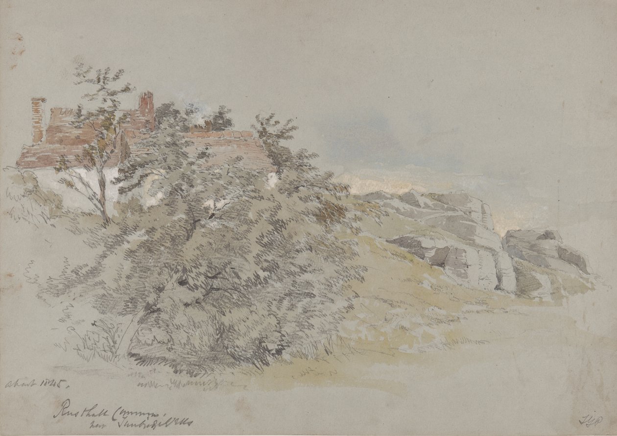 Rusthall Common, Tunbridge Wells yakınında, c.1845 (kalem, wc ve kağıt üzerine guaj boya) by Samuel Gillespie Prout