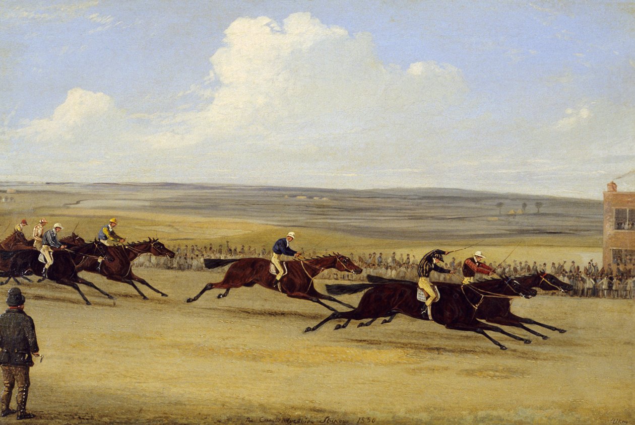 1850 Cambridgeshire Stakes: The Finish (tuval üzerine yağlı boya) (ayrıca bkz. 266406) by Samuel Henry Alken