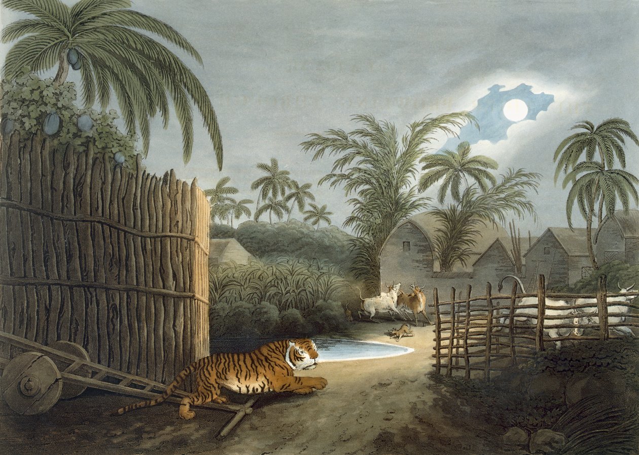 Thomas Williamson