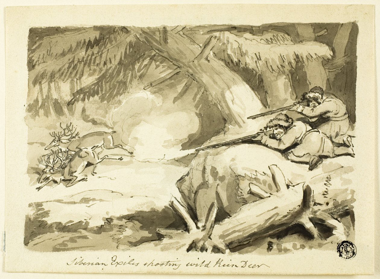 Sibirya Sürgünleri Yabani Ren Geyiğini Vuruyor (rekto); Kabuk (ters) by Samuel Howett