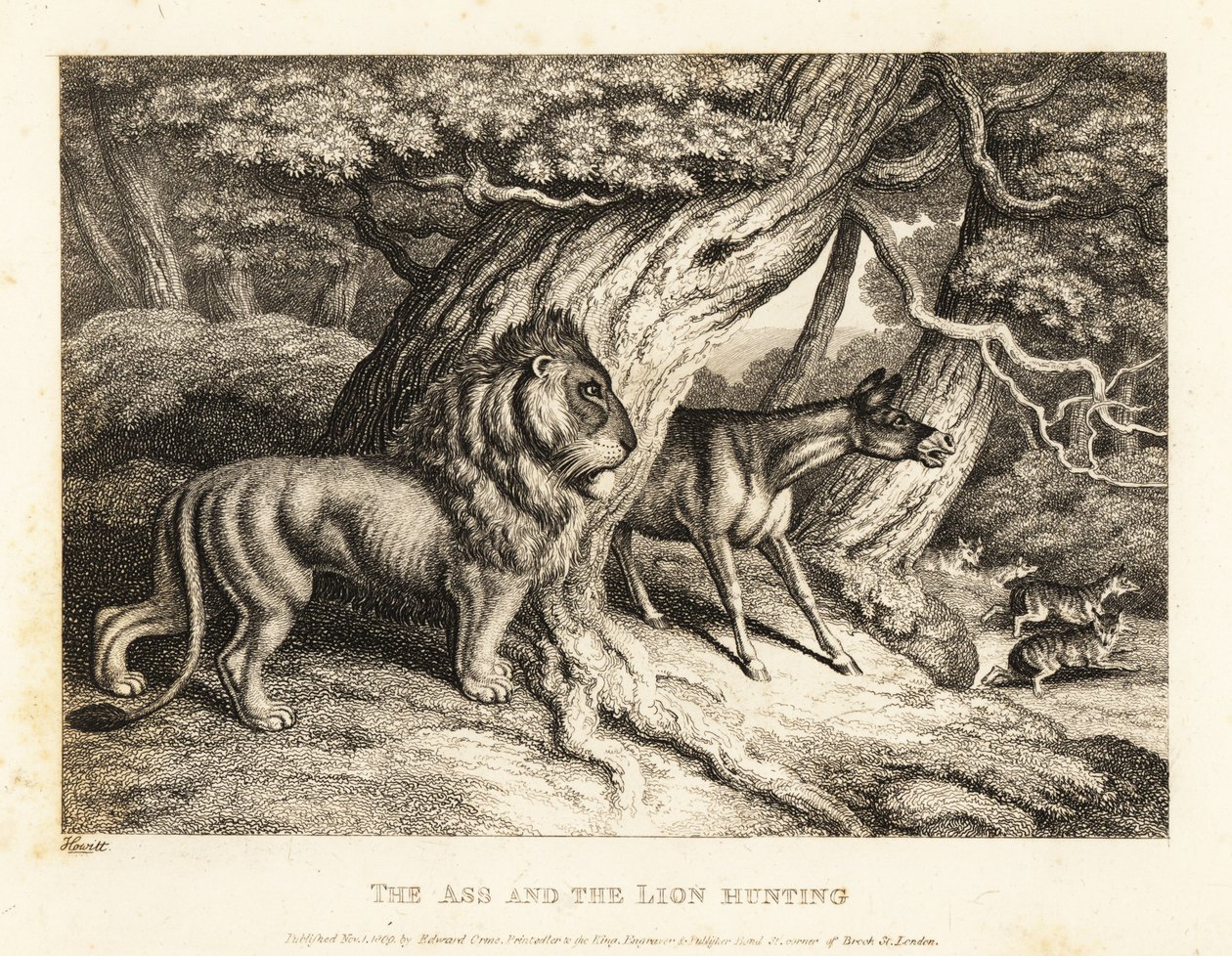 Bir eşek, bir aslanla avlanırken yüksek sesle avına anırır. 1811 (gravür) by Samuel Howitt