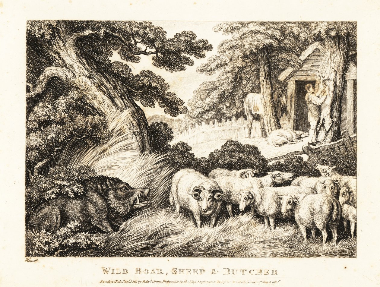 Bir kasap tarafından kesilmeyi bekleyen bir koyun sürüsü. 1811 (gravür) by Samuel Howitt