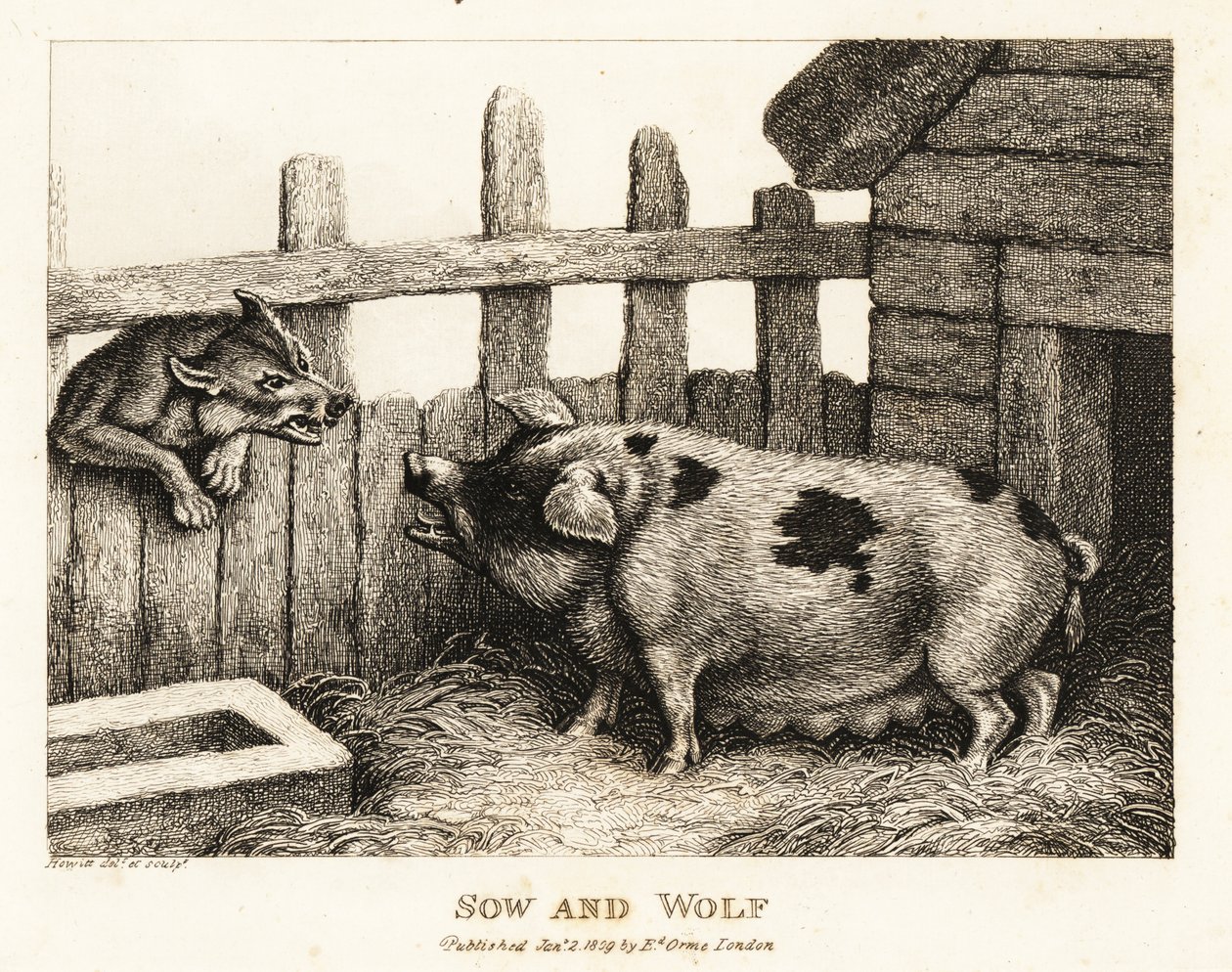 Domuz ahırındaki büyük bir domuz, bir kurda hırlıyor. 1811 (gravür) by Samuel Howitt