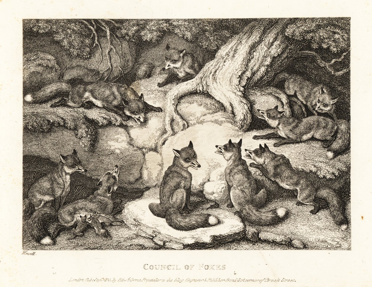 Bir ormanda buluşan bir tilki sürüsü. 1811 (gravür) by Samuel Howitt