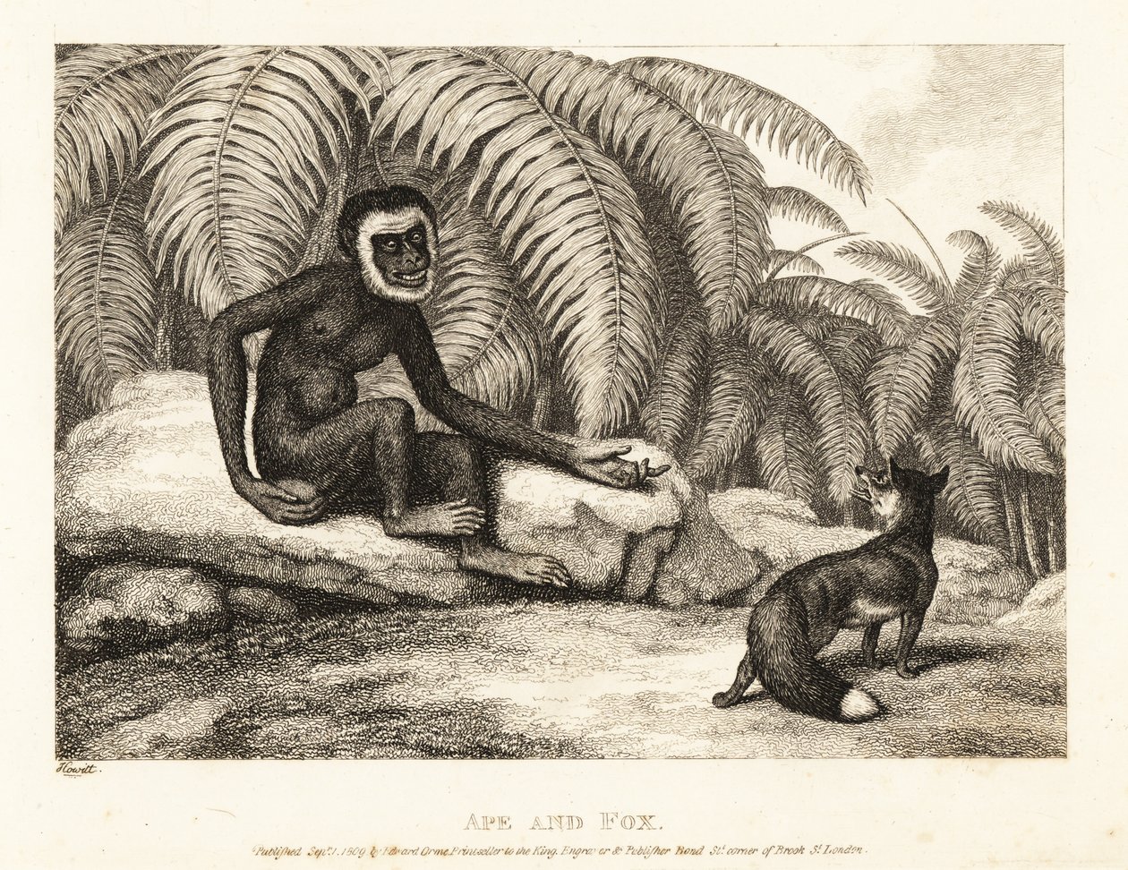 Kuyruksuz bir maymun, kuyruğunun bir kısmını tilkiden ister. Maymun ve tilki. 1811 (gravür) by Samuel Howitt