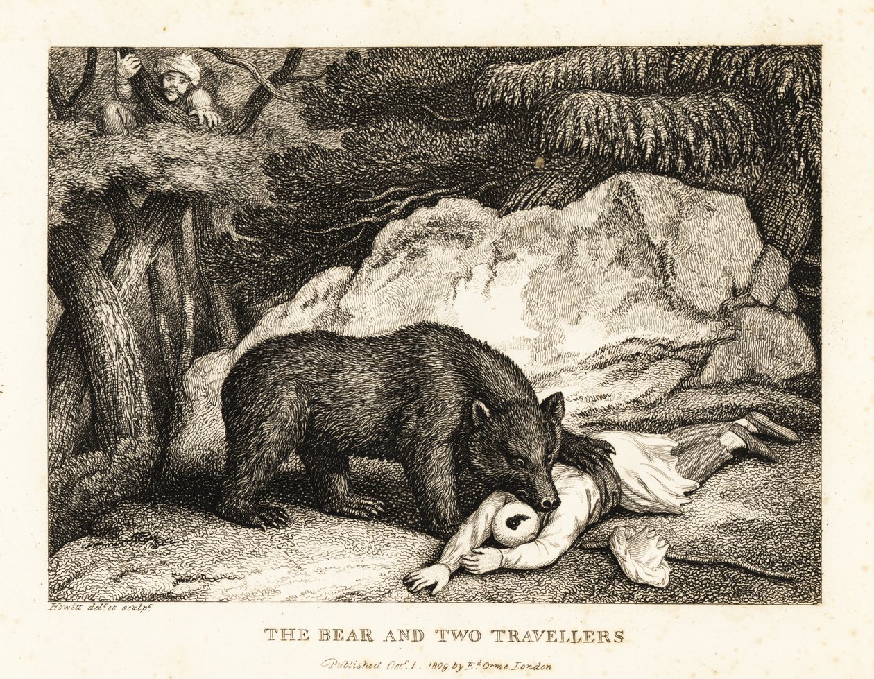Sarıklı bir gezgin, bir ayı tarafından saldırıya uğradığında ölü numarası yapar. 1811 (gravür) by Samuel Howitt
