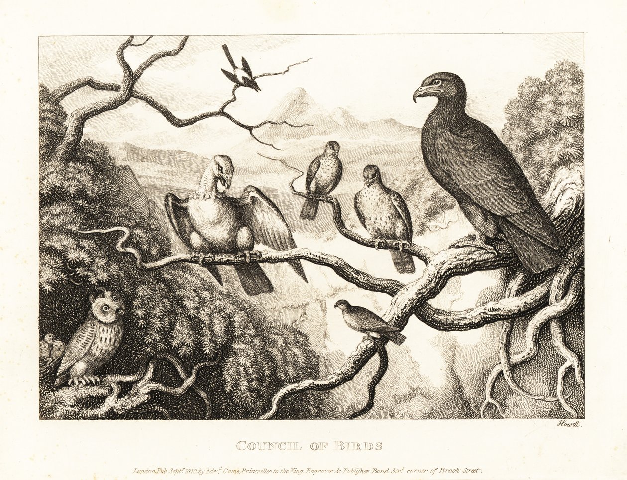 Bir kartal, bir ağaçtaki kuşların mahkemesine başkanlık eder. 1811 (gravür) by Samuel Howitt