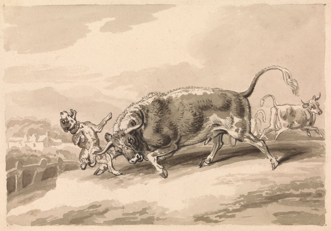 Boğa Saldıran Mastiff by Samuel Howitt