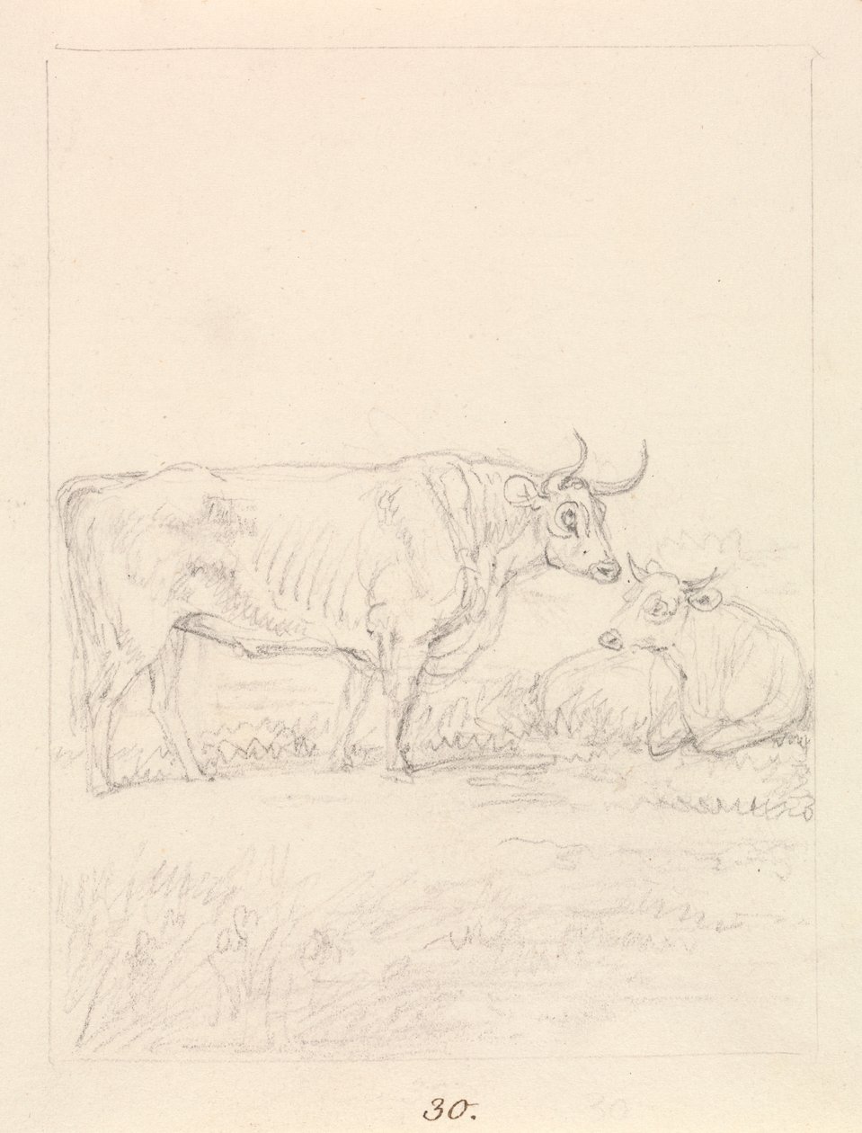 Boğa ve İnek by Samuel Howitt