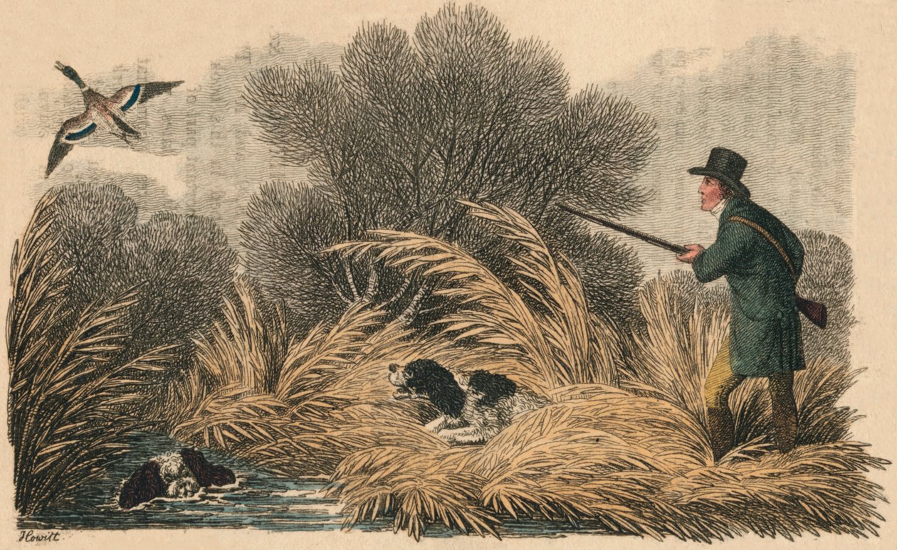 Ördek Vuruşu, 1810. by Samuel Howitt