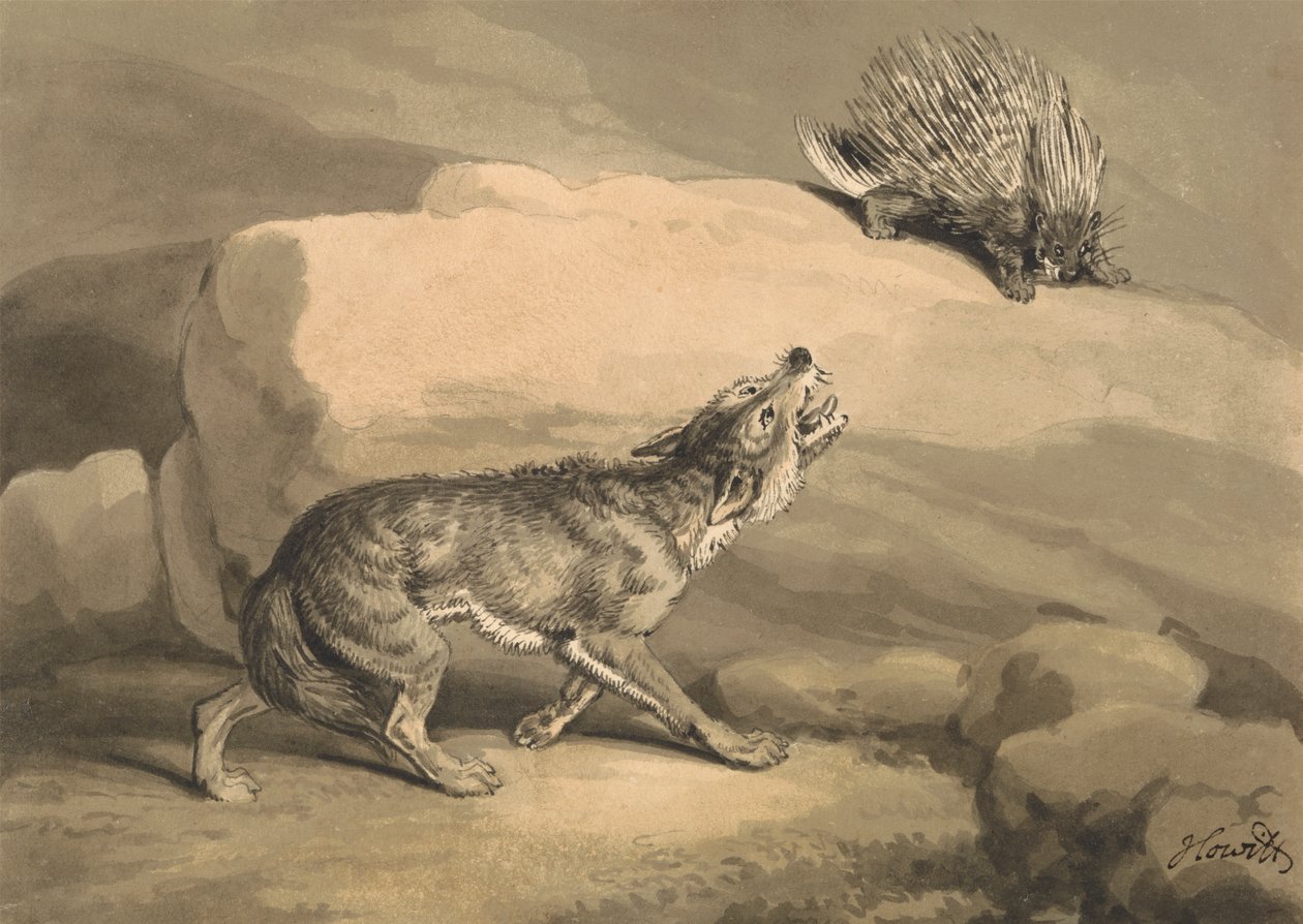 Tilki ve Kirpi (Kirpi) by Samuel Howitt