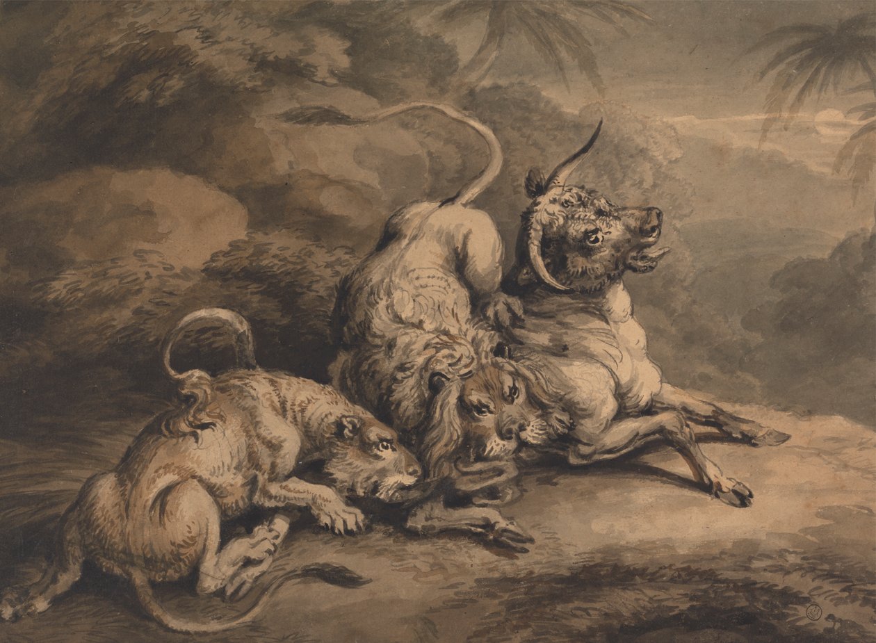 Aslan ve dişi aslan bir öküze saldırıyor by Samuel Howitt