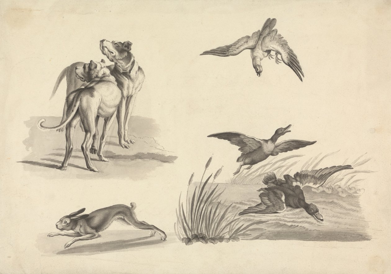 Av Köpekleri, Tavşan, Şahin ve Ördek Çalışmaları Sayfası by Samuel Howitt