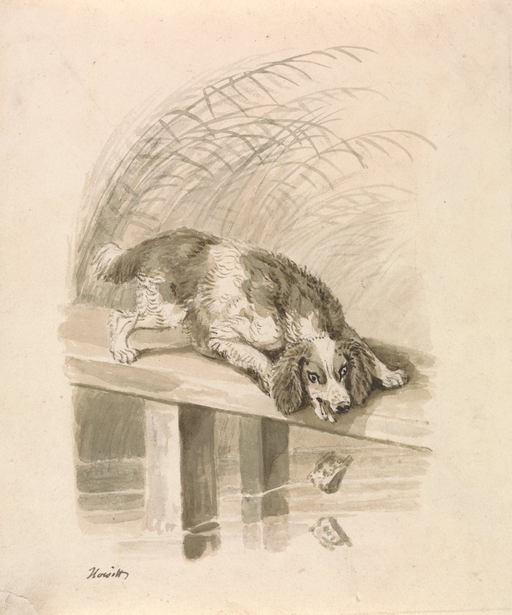 Köpek ve Gölge by Samuel Howitt
