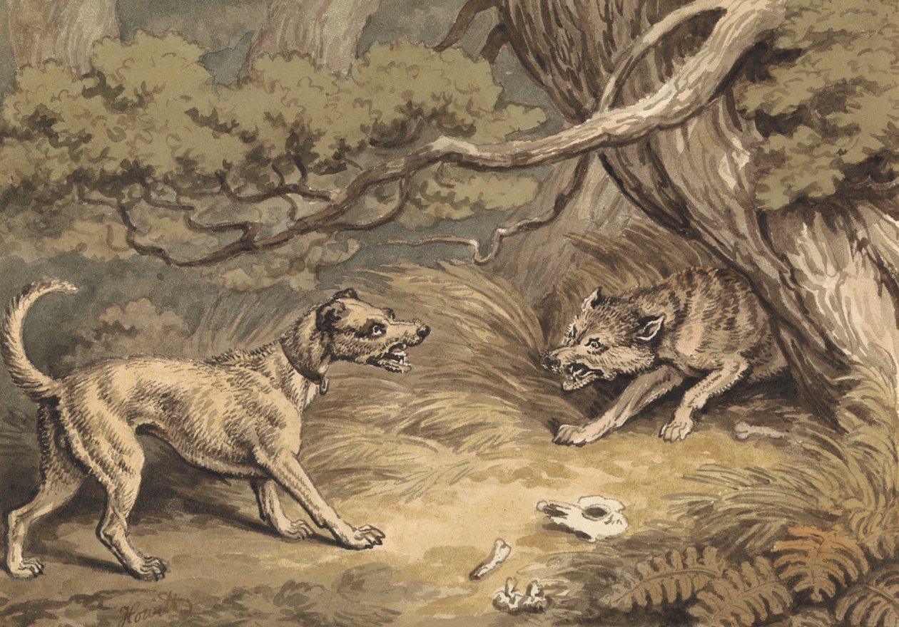 Köpek ve Kurt by Samuel Howitt