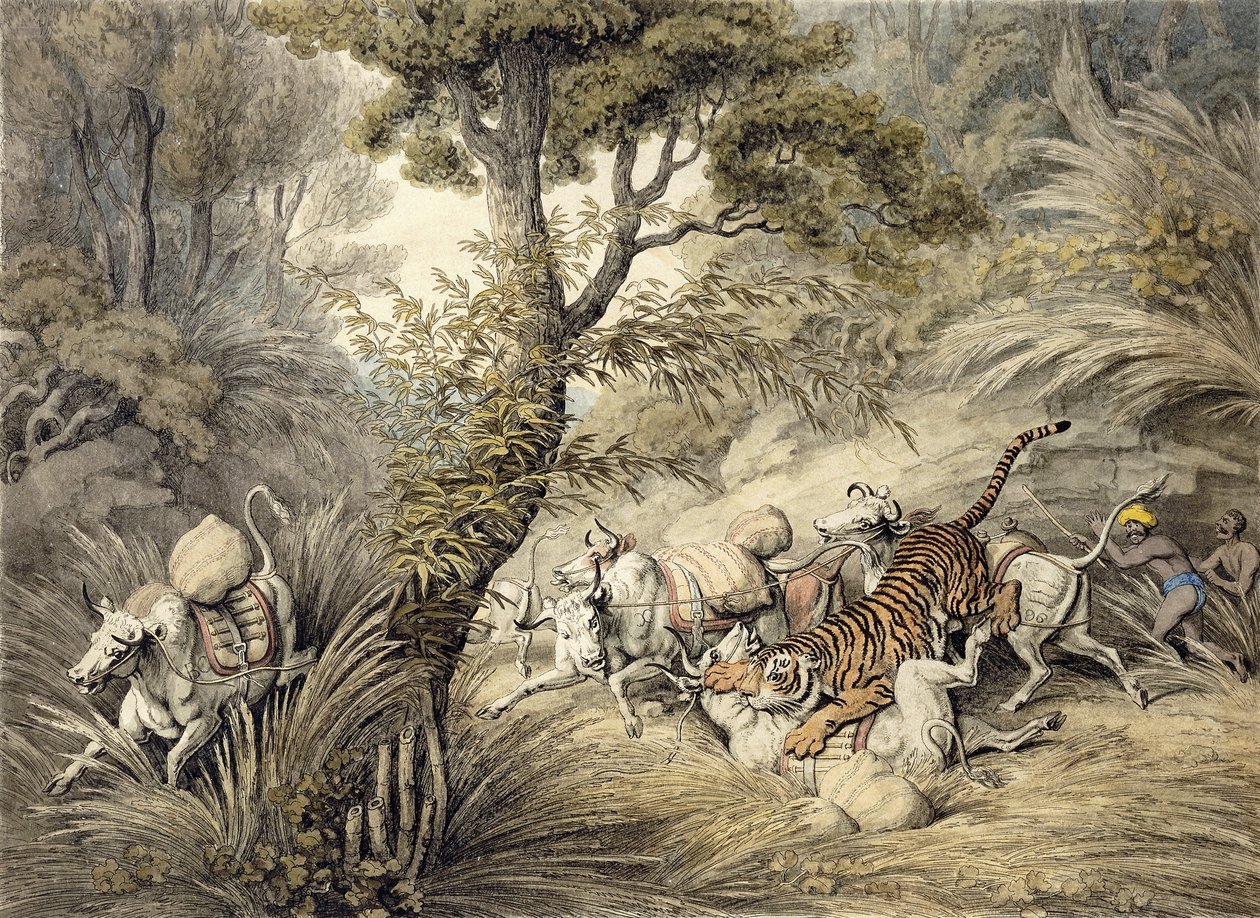 Sığır Trenine Saldıran Kaplan, by Samuel Howitt