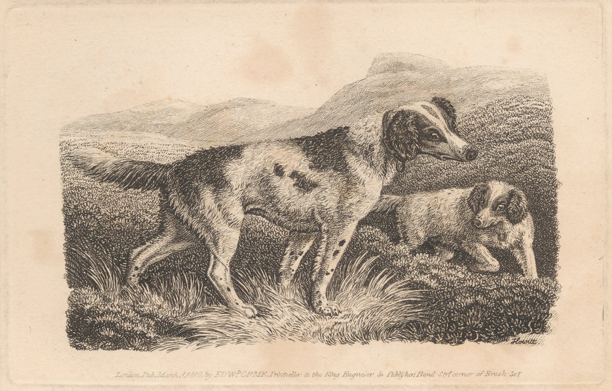 İki köpek by Samuel Howitt