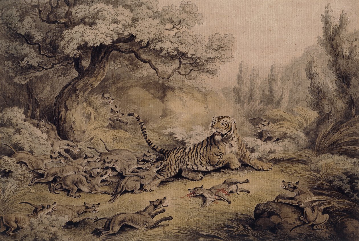 Kaplana Saldıran Vahşi Köpekler, by Samuel Howitt