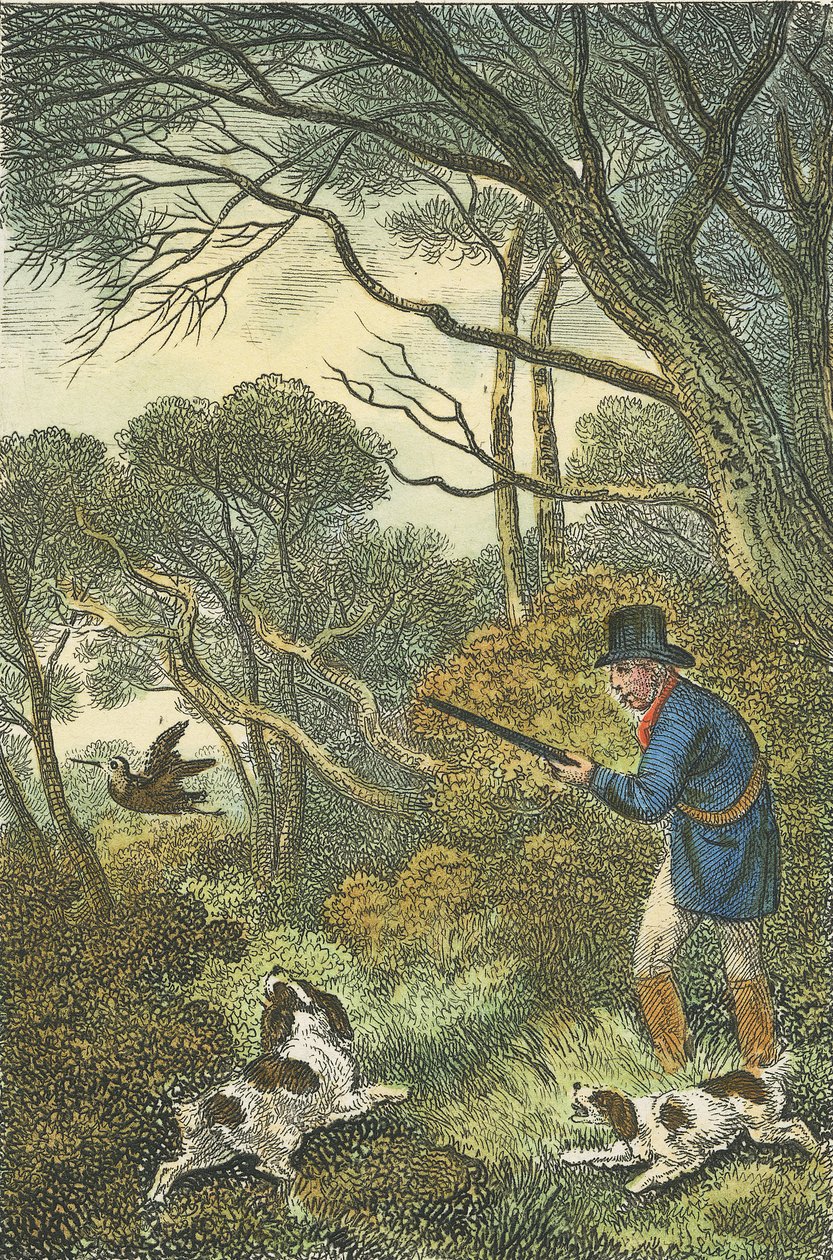 Woodcock Shooting, 1819 (el boyaması gravür) by Samuel Howitt