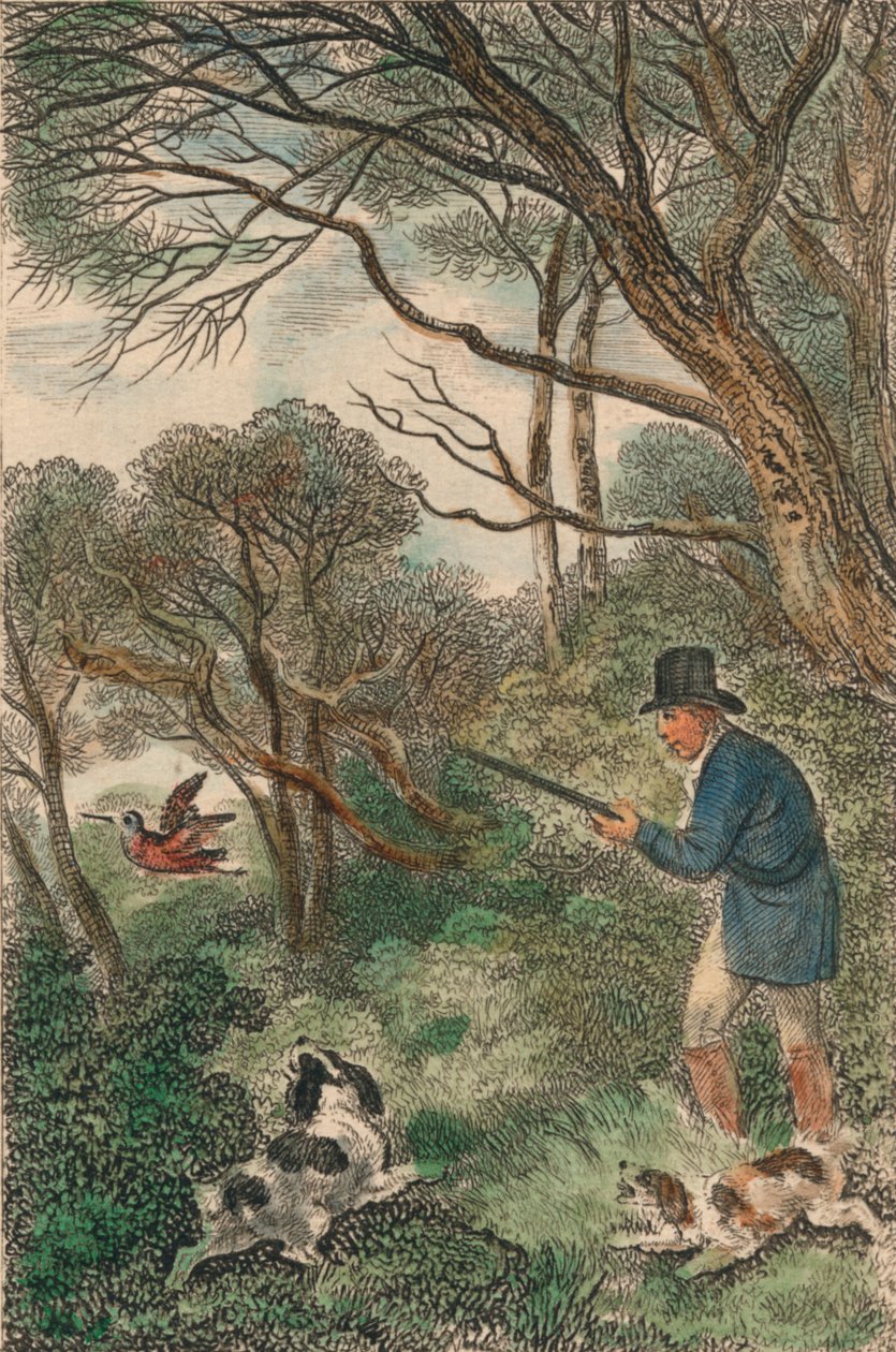 Çulluk Atışı, 1819. by Samuel Howitt