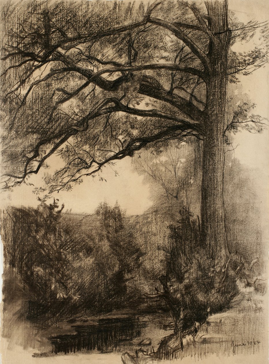 Büyük ağaçlı manzara, 1884 (devetüyü serilmiş kağıt üzerine kömür) by Samuel Isham