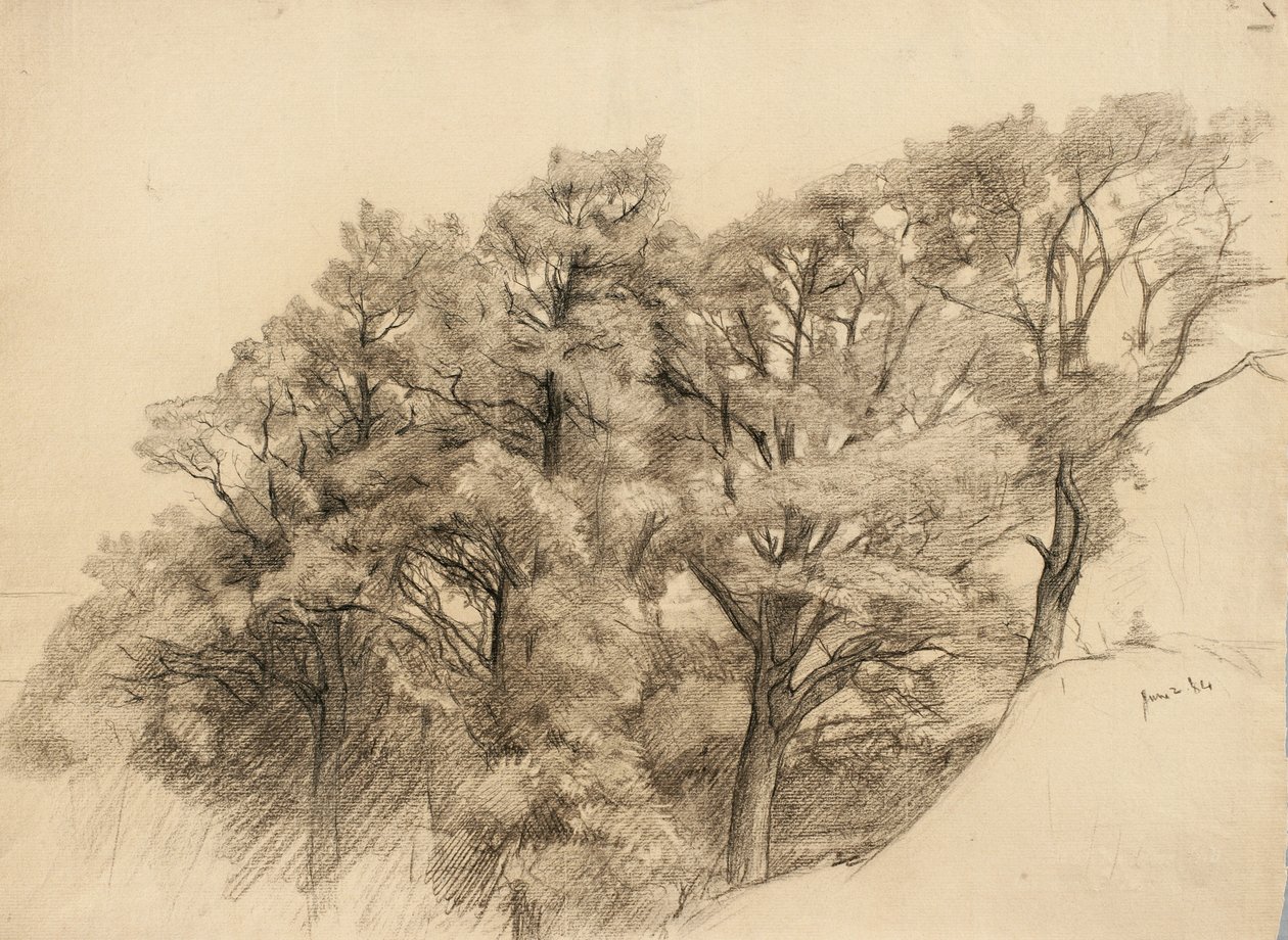 Ağaçlı manzara, 1884 (devetüyü serilmiş kağıt üzerine kömür) by Samuel Isham