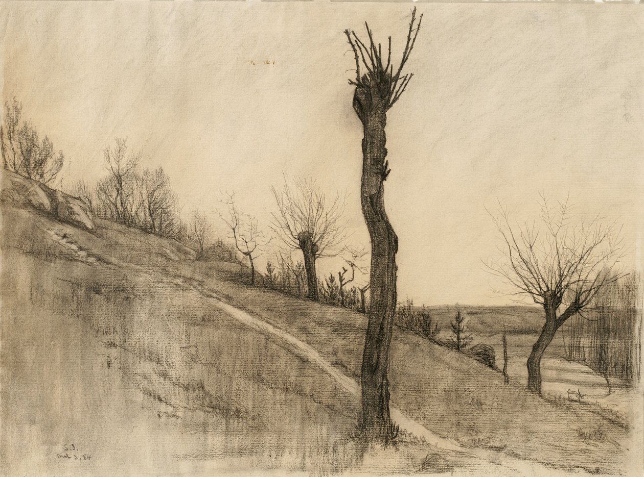 Geç kış manzarası, 1884 (devetüyü serilmiş kağıt üzerine kömür) by Samuel Isham