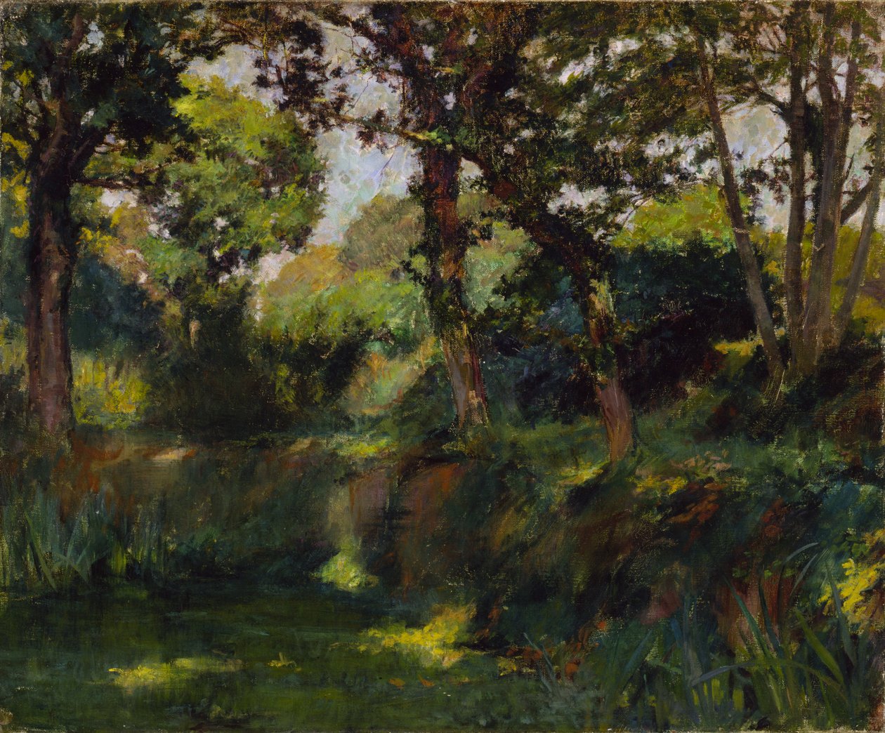 Ormanlık Peyzaj, 19. yüzyıl sonu - 20. yüzyıl başı. by Samuel Isham
