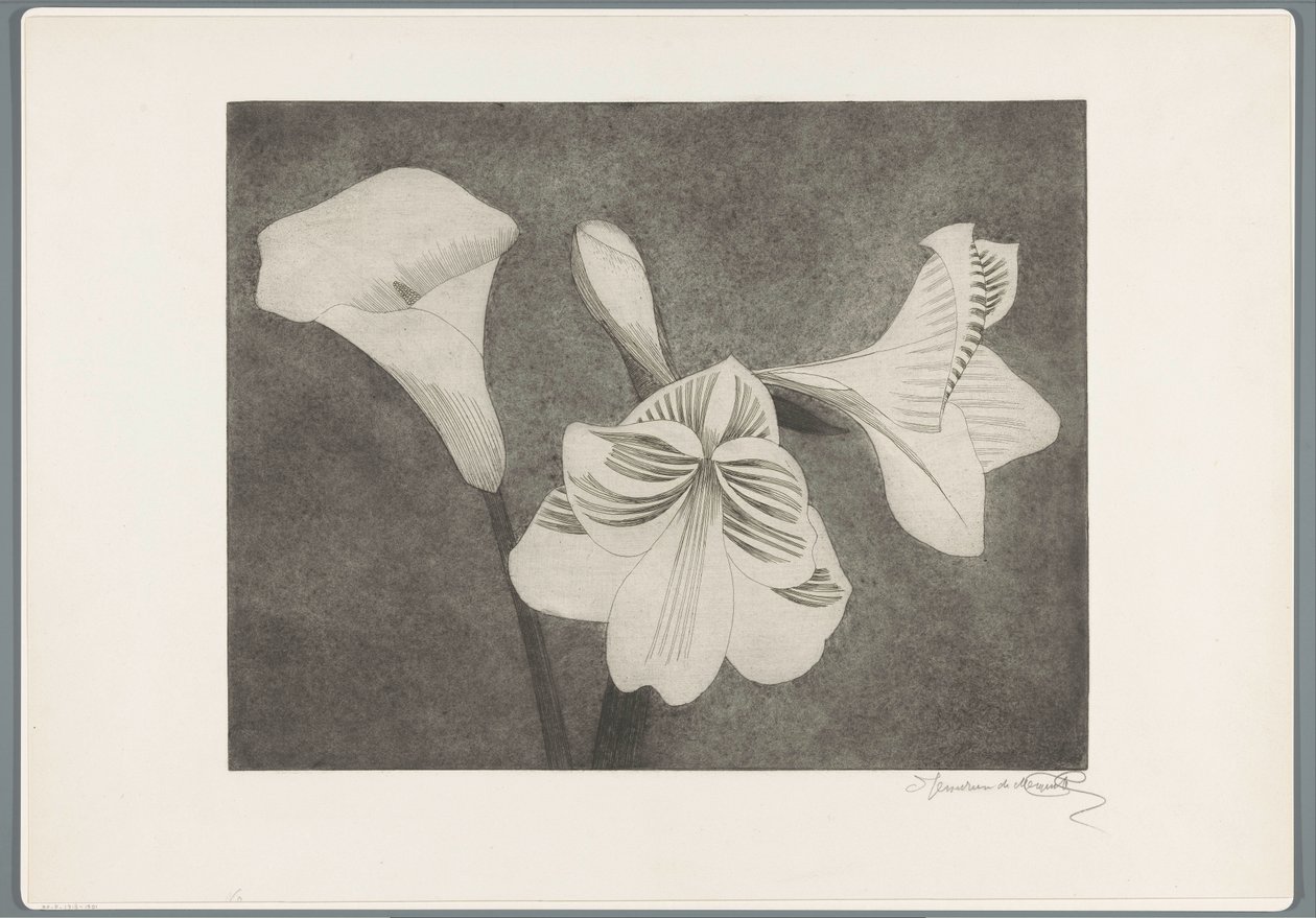 Amaryllis ve Aaron'ın Kupası by Samuel Jessurun de Mesquita (signed by artist)