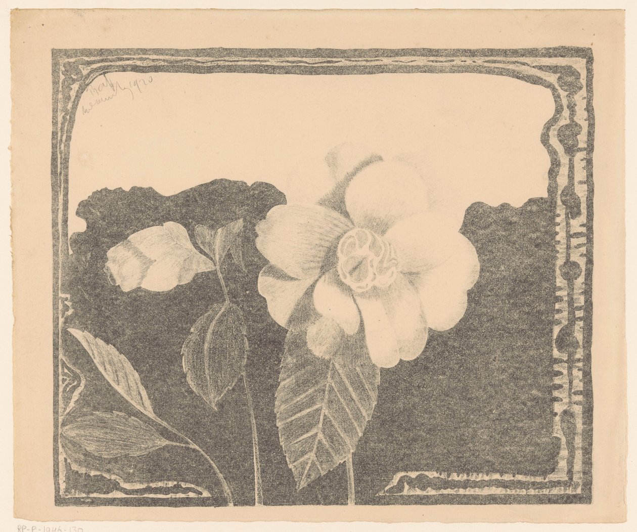Camelia, tomurcukta çiçek bıraktı by Samuel Jessurun de Mesquita