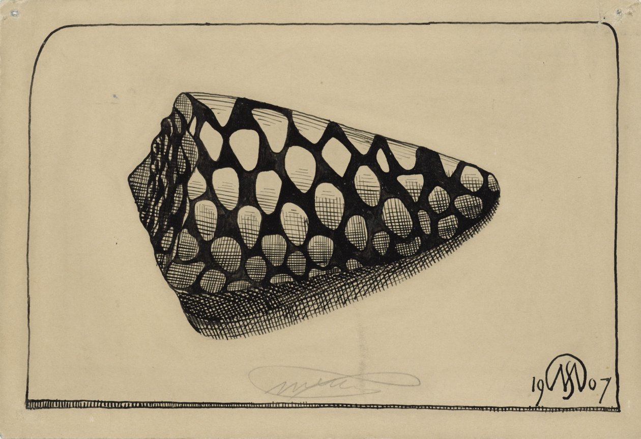 Kabuk, sağda by Samuel Jessurun de Mesquita