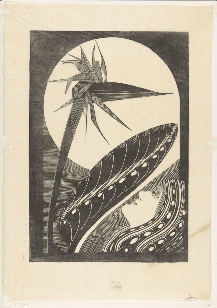 bitkin strelitzia by Samuel Jessurun de Mesquita