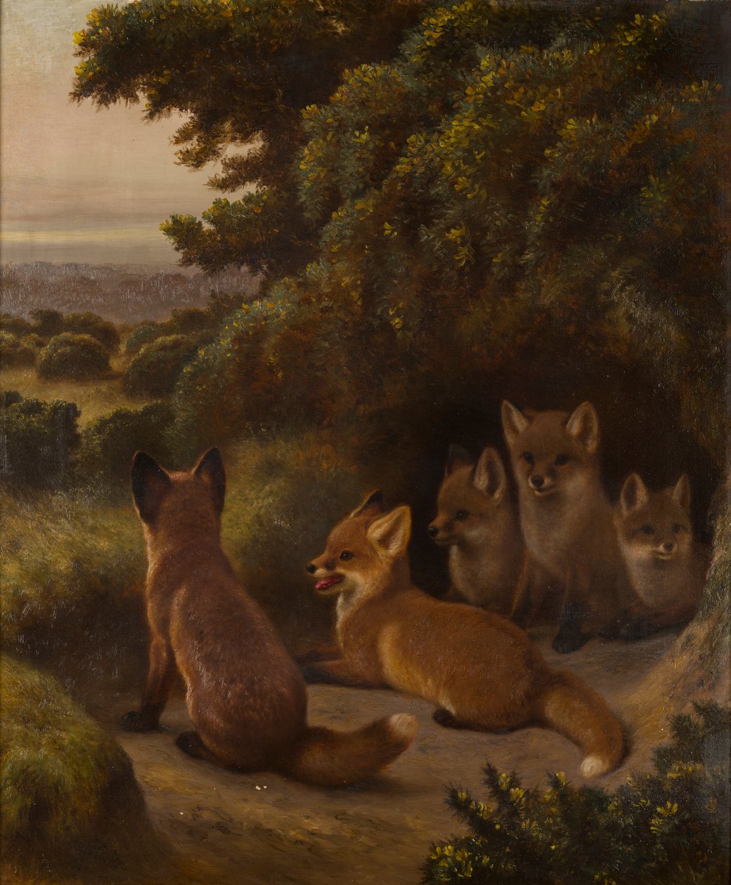Bir miktar Tilki Yavrusu, c.1855-92 (tuval üzerine yağlı boya) by Samuel John Carter
