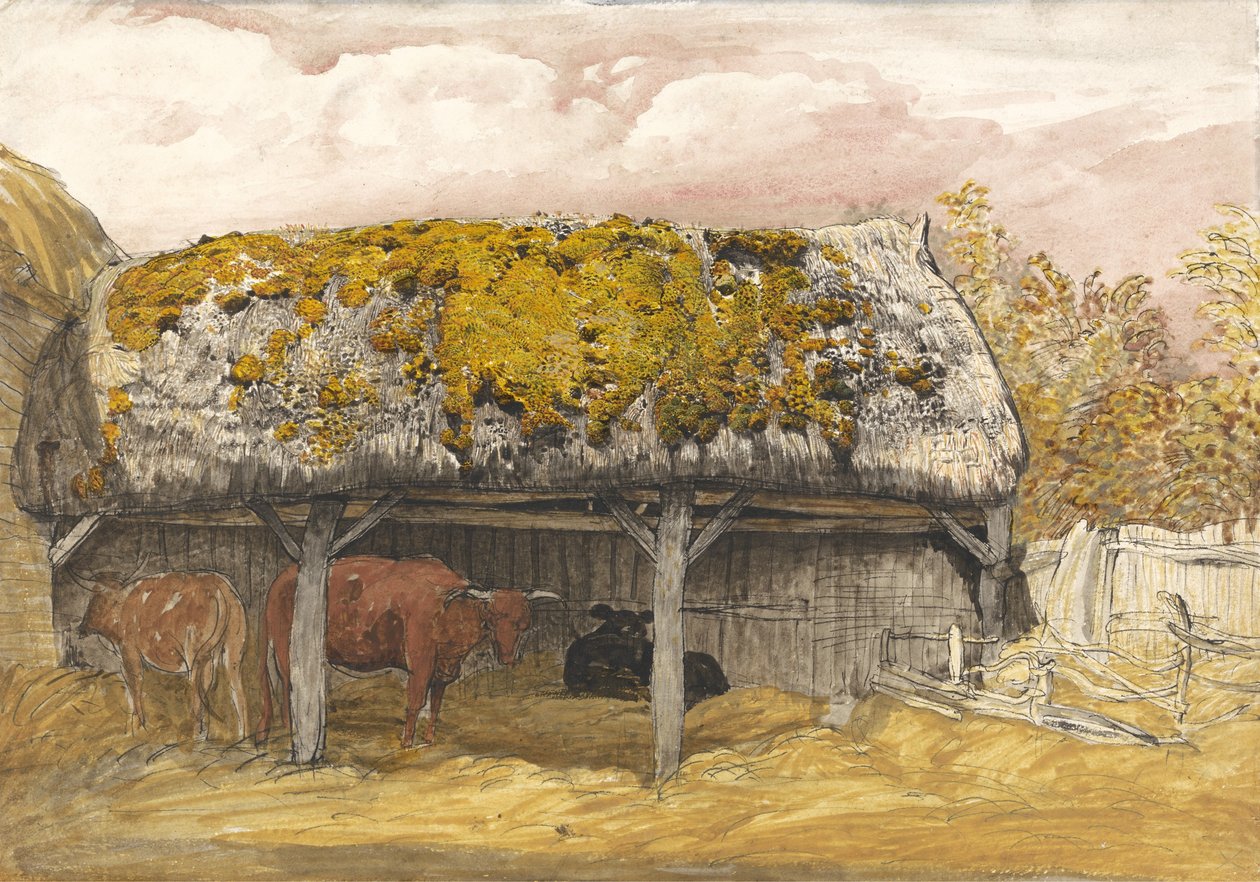 Yosunlu Çatılı Bir İnek Köşkü, c.1829 (kağıt üzerine suluboya ve guaj ile kalem ve mürekkep) by Samuel Palmer