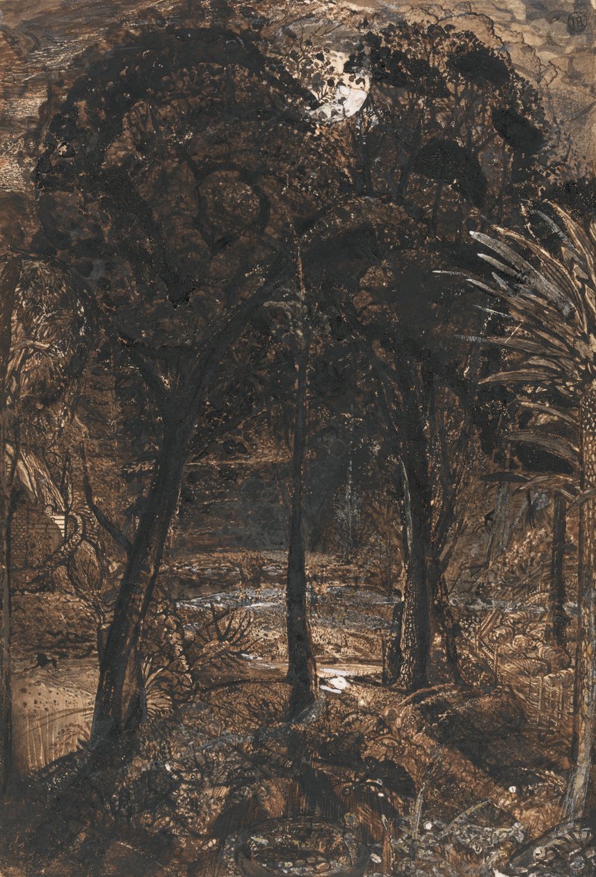 Dolambaçlı Bir Nehirle Ay Işığının Aydınlattığı Bir Sahne by Samuel Palmer
