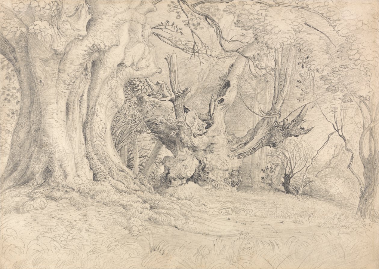 Eski Ağaçlar, Lullingstone Parkı by Samuel Palmer