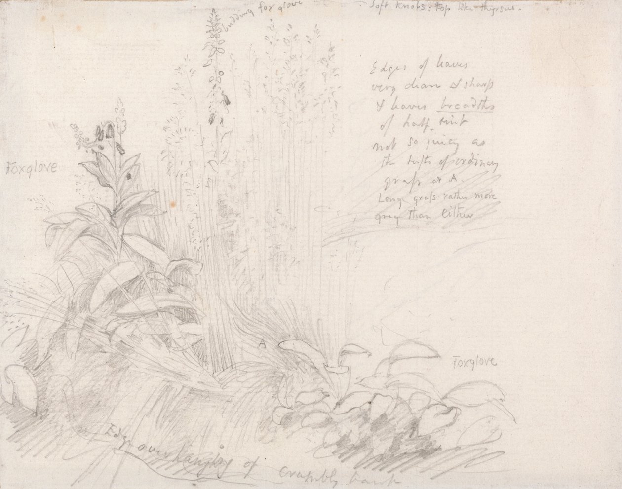 yüksükotu by Samuel Palmer