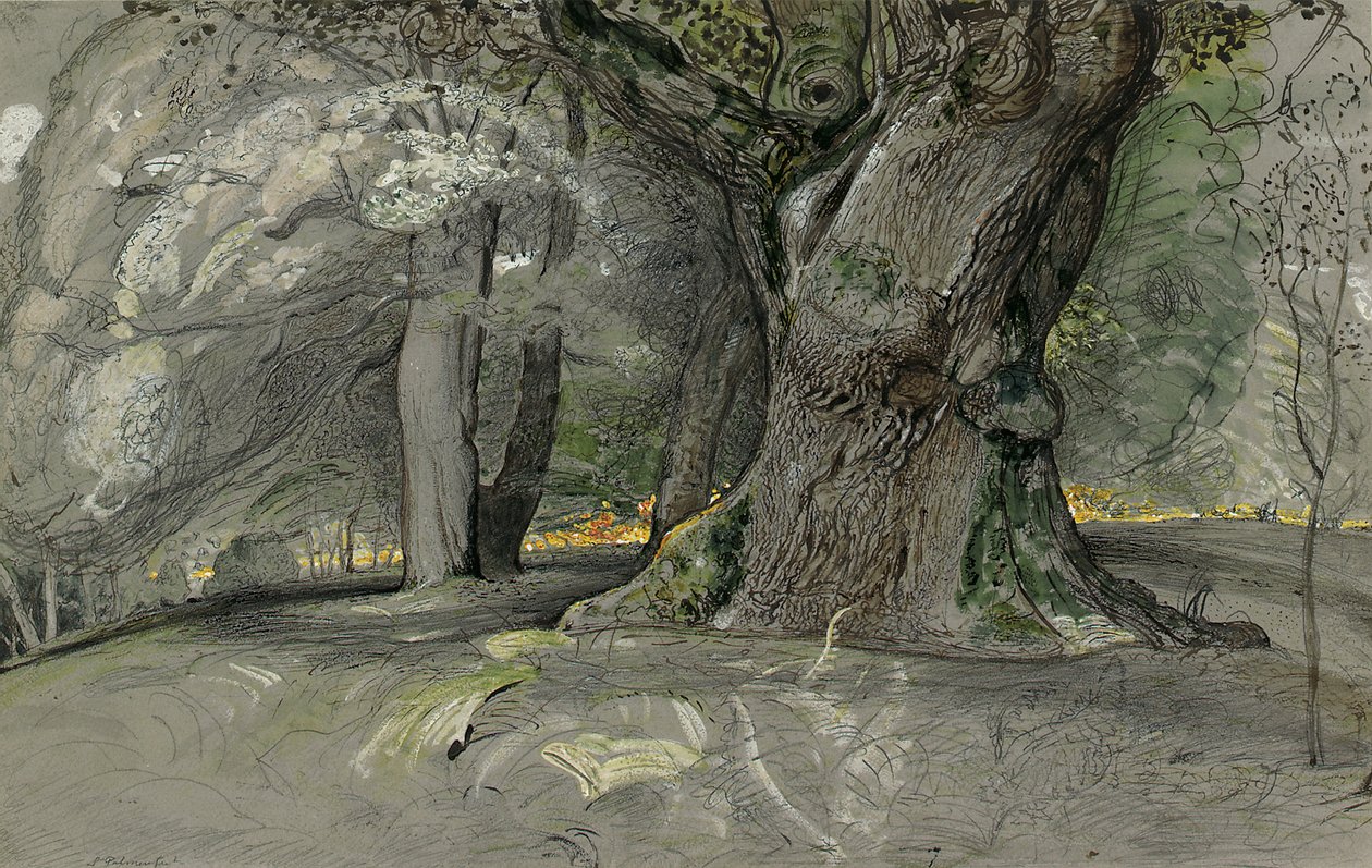 Meşe ağacı ve kayın, Lullingstone Parkı by Samuel Palmer