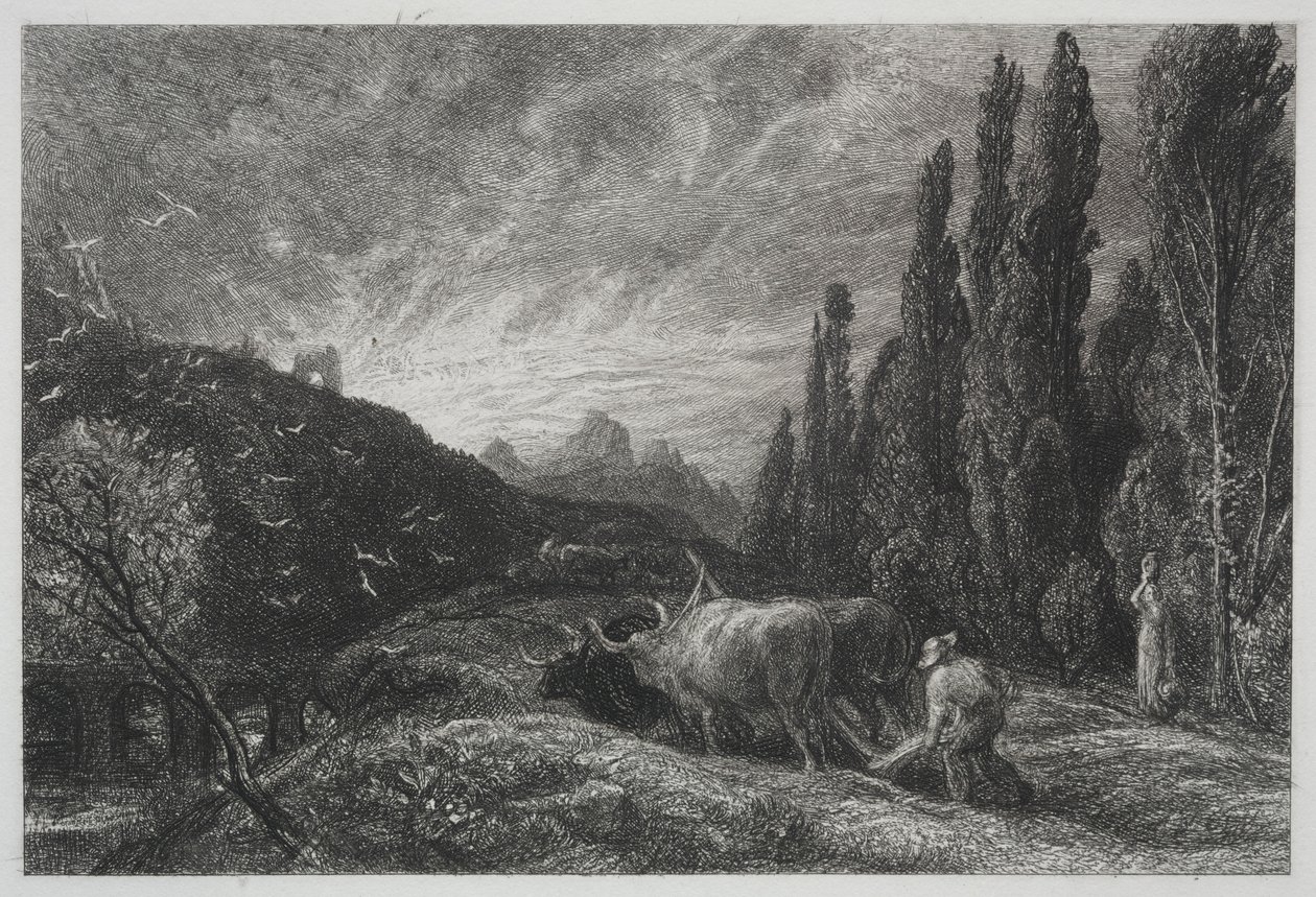 Erken Pullukçu, 1861