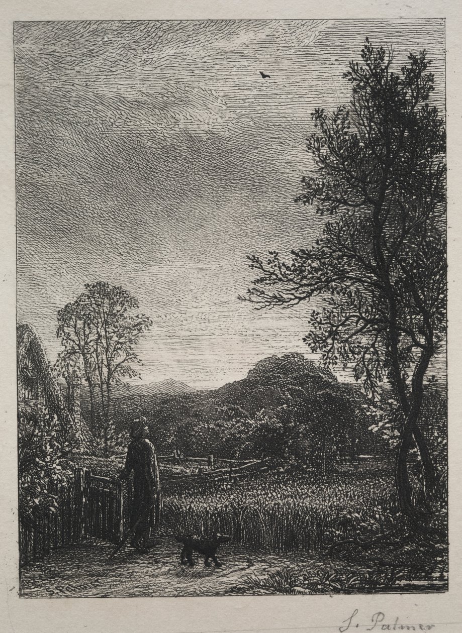 Skylark by Samuel Palmer