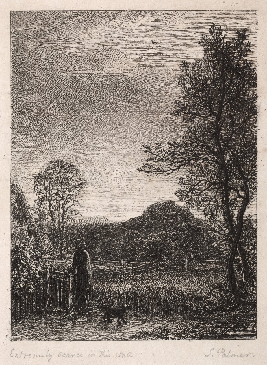 Skylark by Samuel Palmer