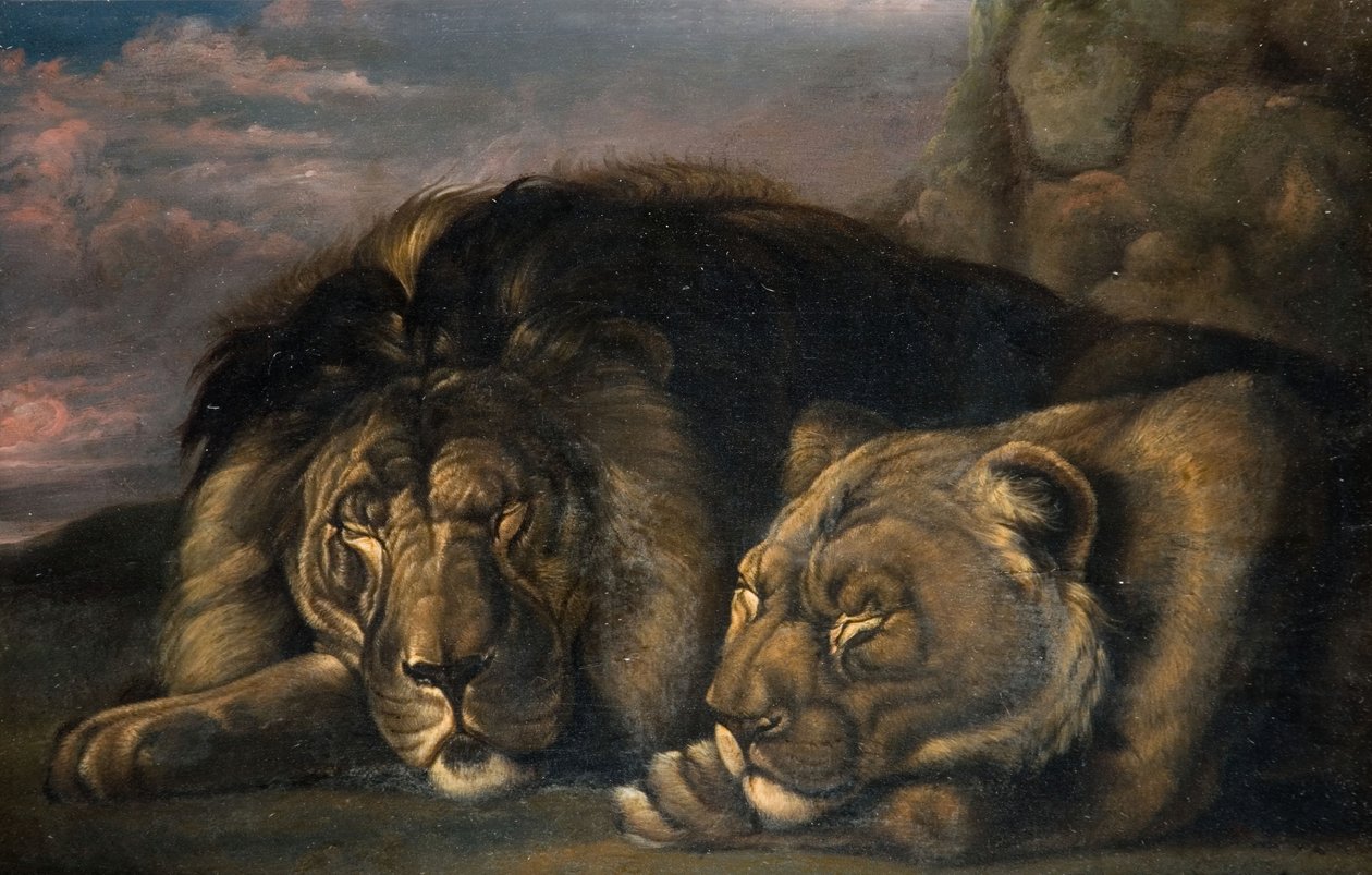 Uyuyan Aslan ve Dişi Aslan 1823-1830. by Samuel Raven