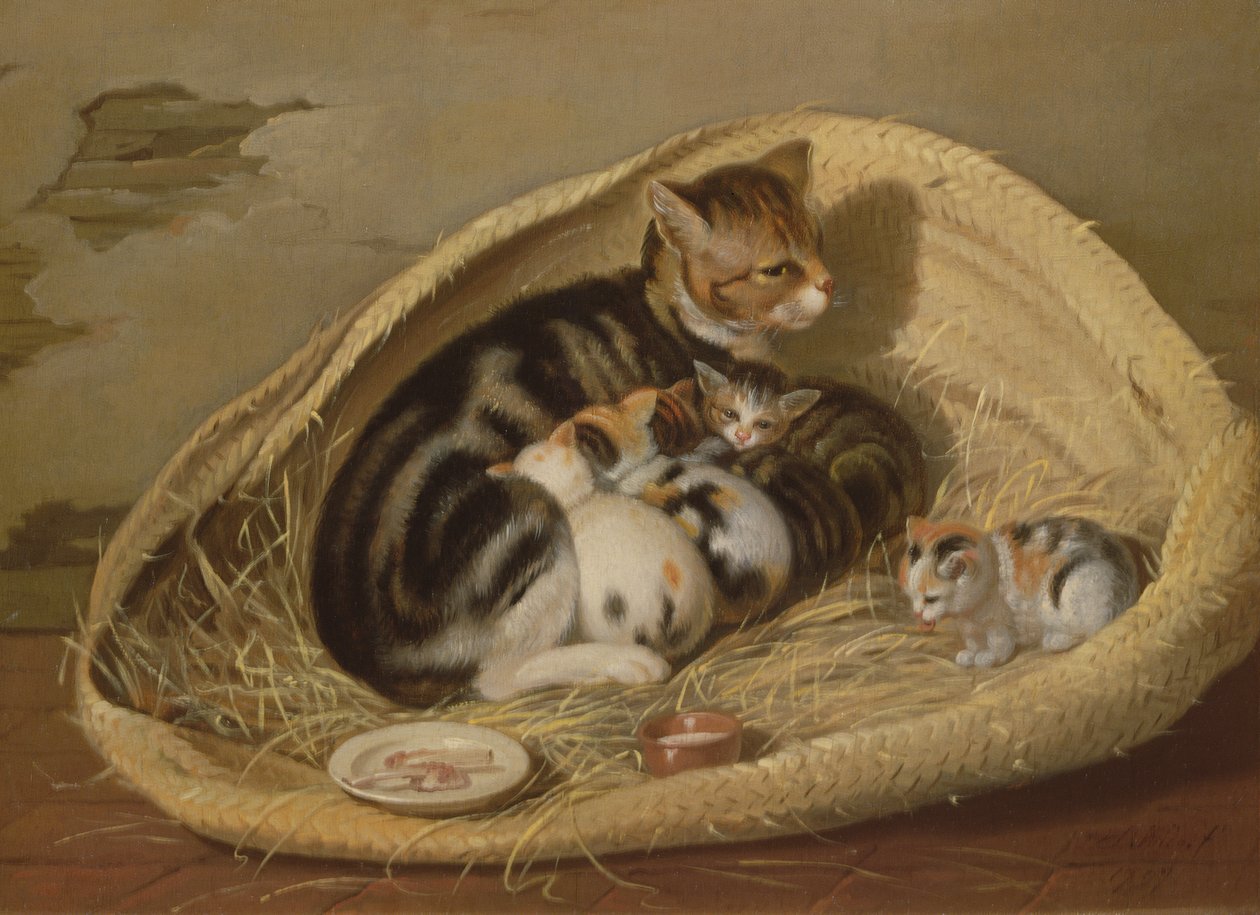 Kedileri Sepette Olan Kedi, 1797 by Samuel de Wilde
