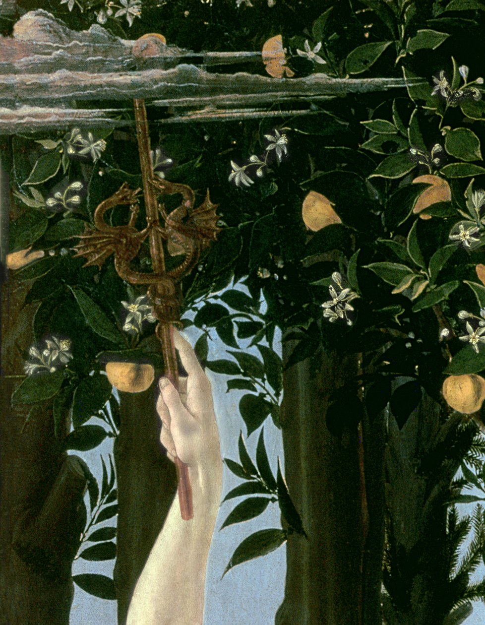 Primavera, c.1478, 558 panel detayında tempera by Sandro Botticelli