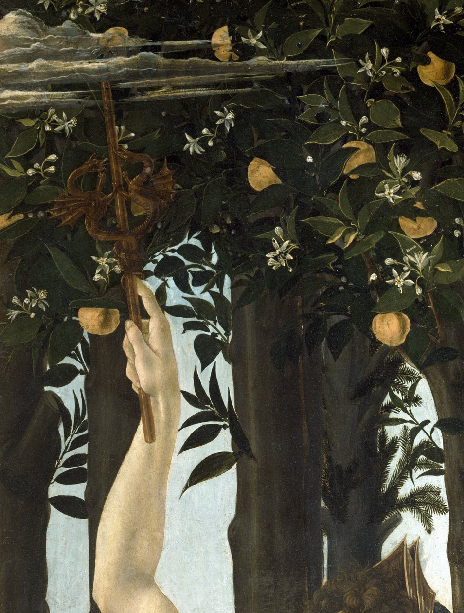 Primavera, c.1478, 558 panel detayında tempera by Sandro Botticelli