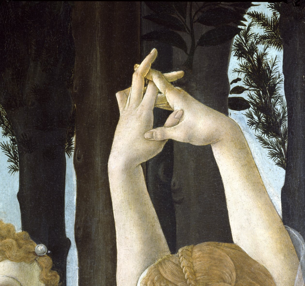 Primavera, c.1478, 558 panel detayında tempera by Sandro Botticelli