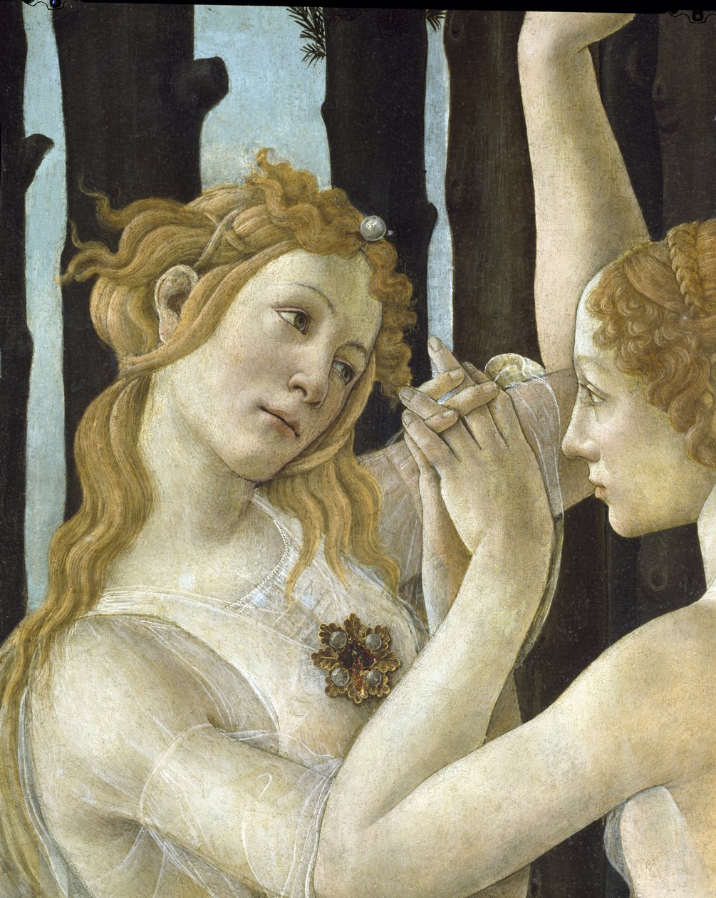 Primavera, c.1478, 558 panel detayında tempera by Sandro Botticelli